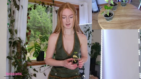 Americano, divertente, giardino