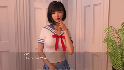 アダルトビジュアルノベル, ポルノゲーム, pcゲームプレイ